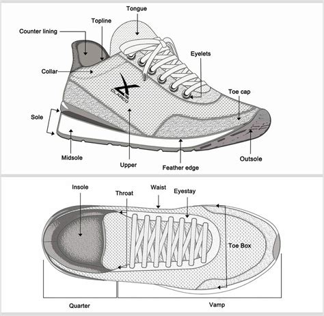 what are sneakers